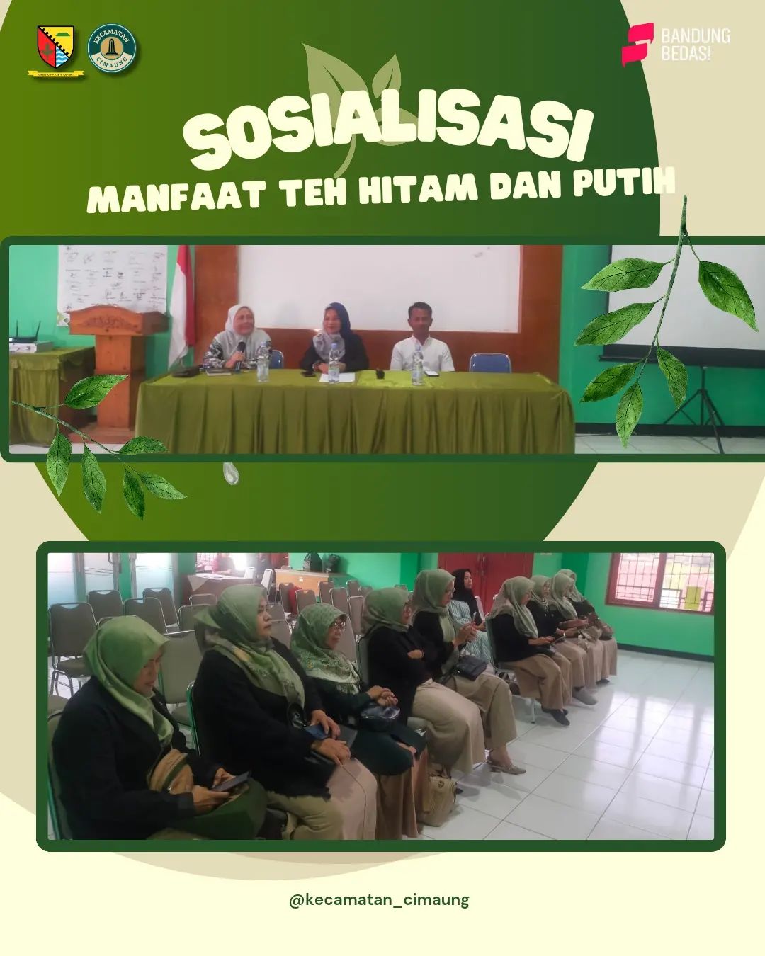 sosialisasi-manfaat-teh-hitam-dan-teh-putih